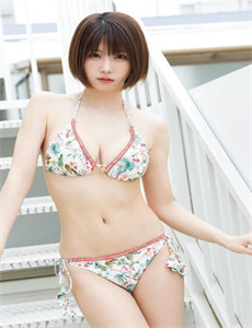 《藏羚王》