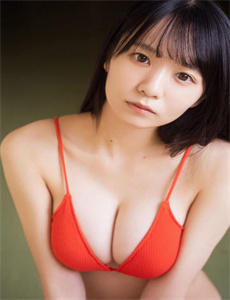 《紧急追捕》